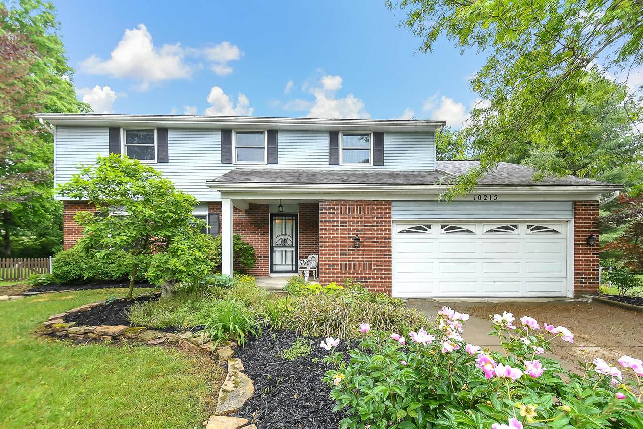10215 Alliston Drive - Photo 1