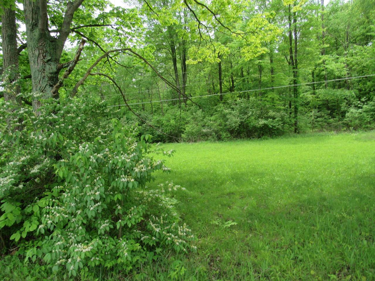 LOT 158 Buttermilk Hill Road - Photo 1