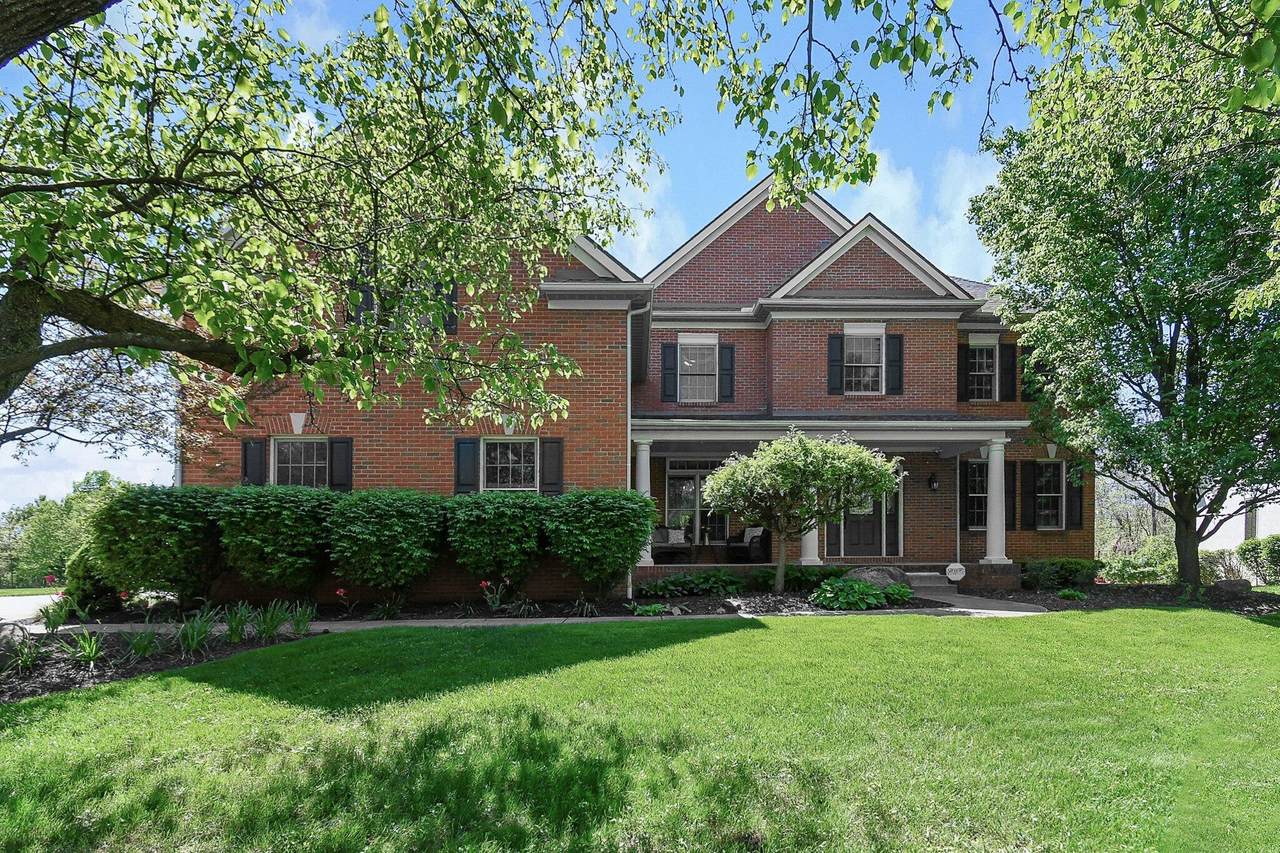 8699 Springflower Road - Photo 1