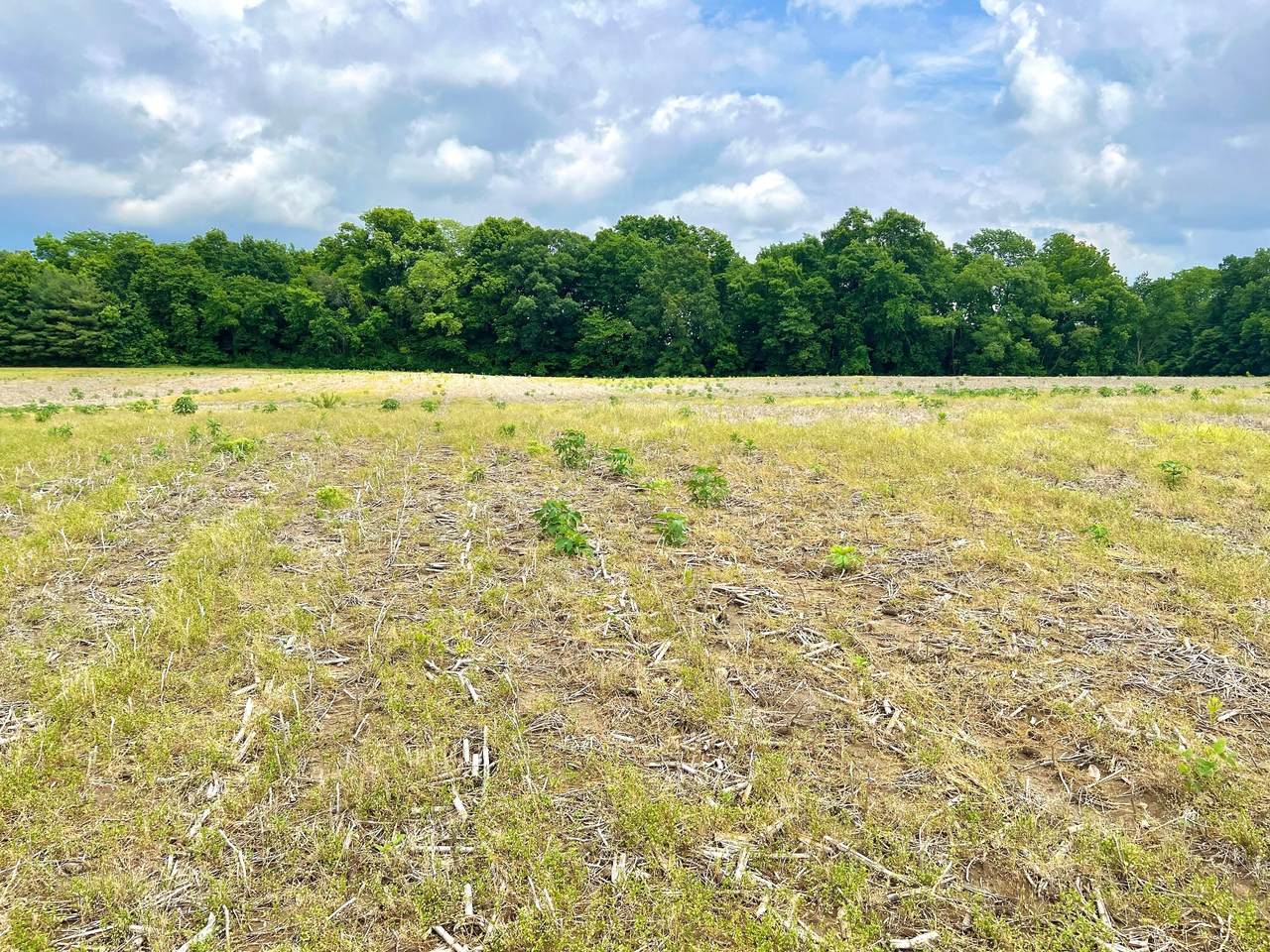 0 Lawrence Road Tract 3 - Photo 1