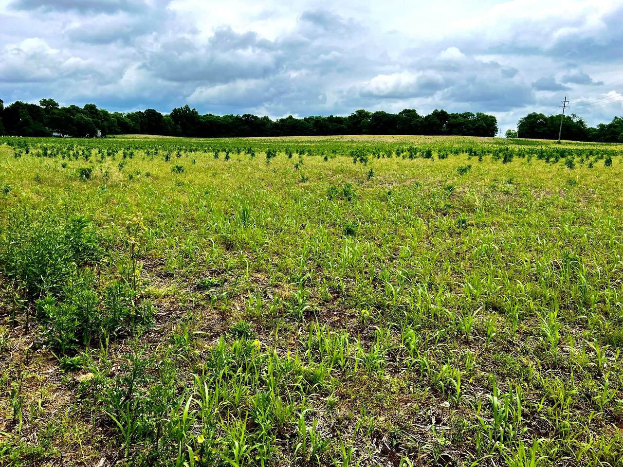 0 Lawrence Road Tract 4 - Photo 1