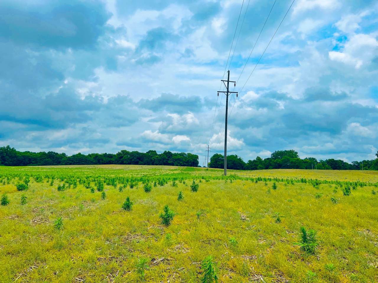 0 Lawrence Road Tract 5 - Photo 1