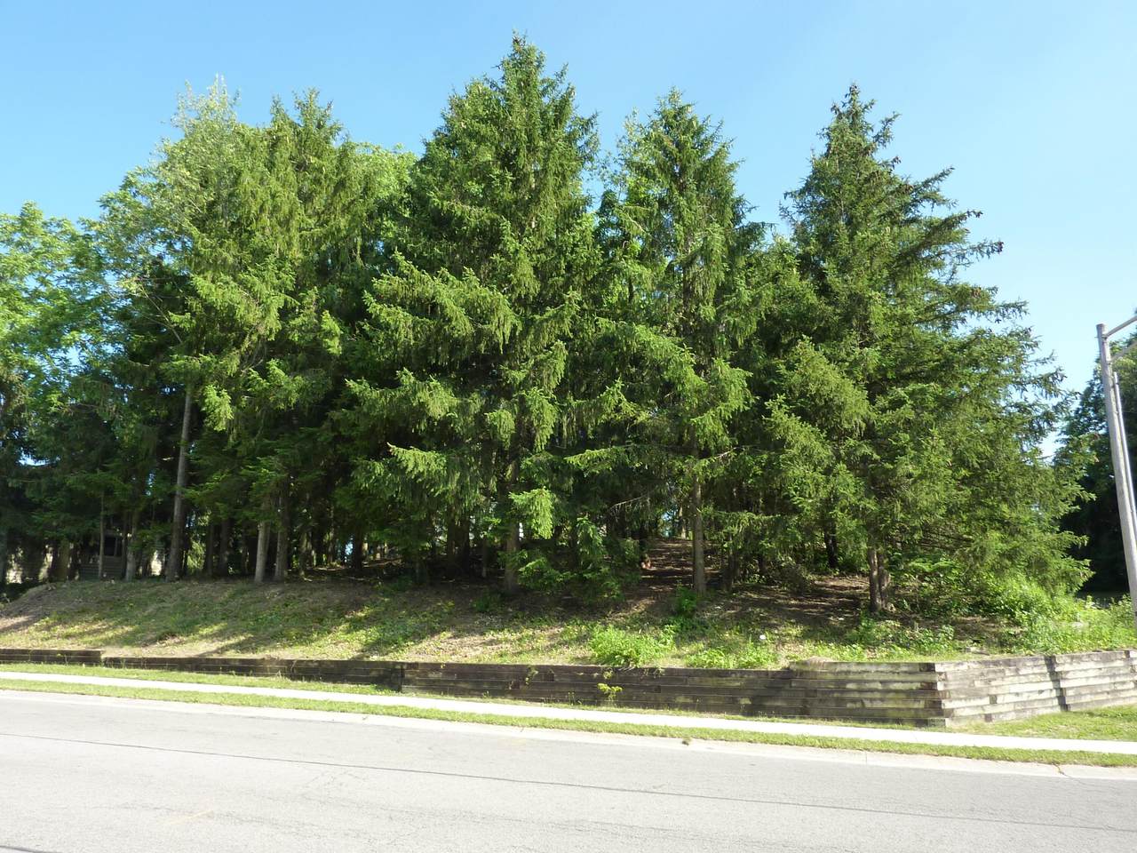 1800 Whispering Pines Lane - Photo 1