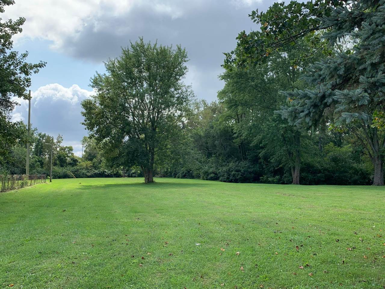 801 John Street - Photo 1
