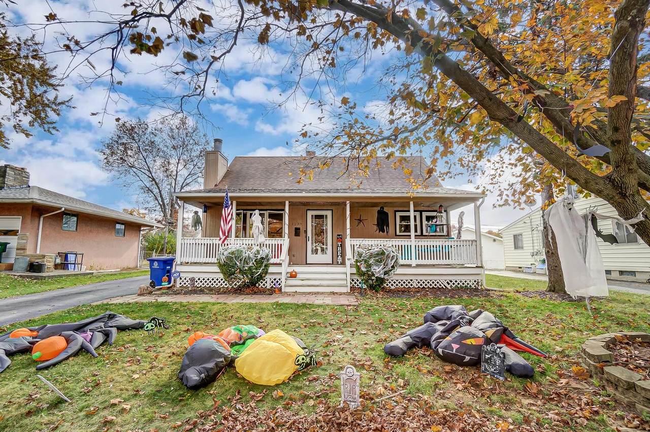 1239 Matthias Drive - Photo 1