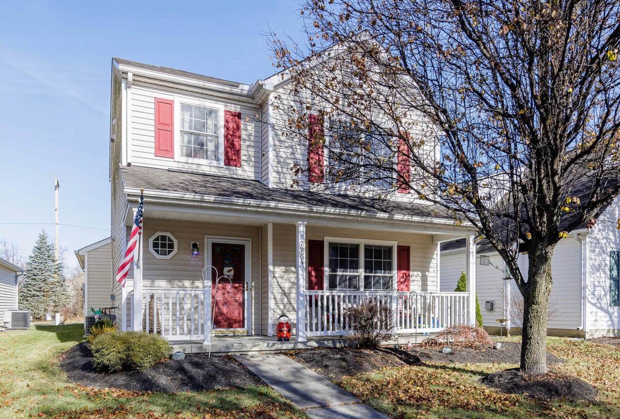 7784 Freesia Street - Photo 1