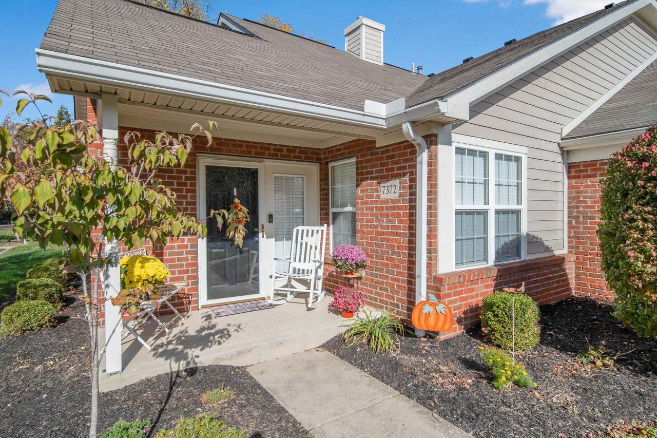 7372 Cherry Brook Drive - Photo 1
