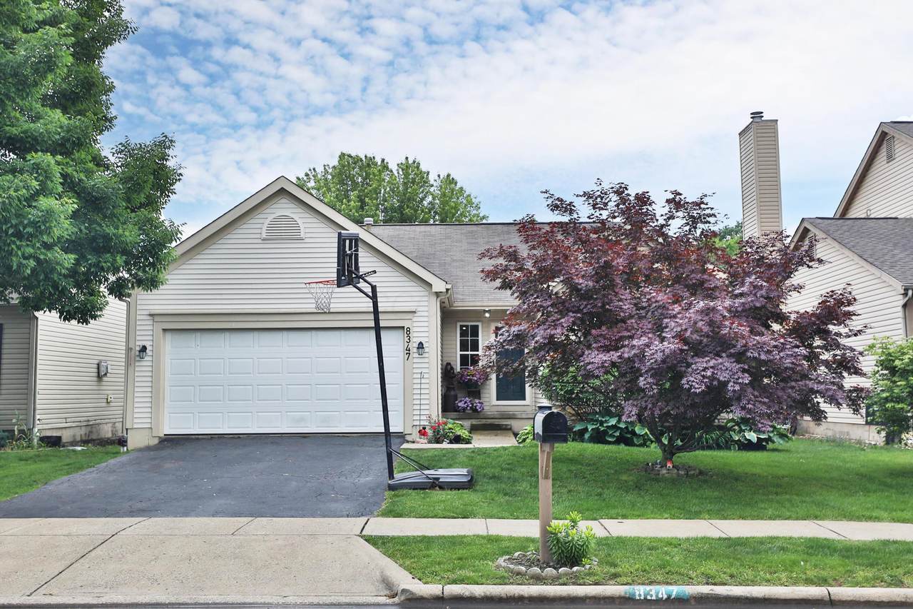 8347 Vega Drive - Photo 1