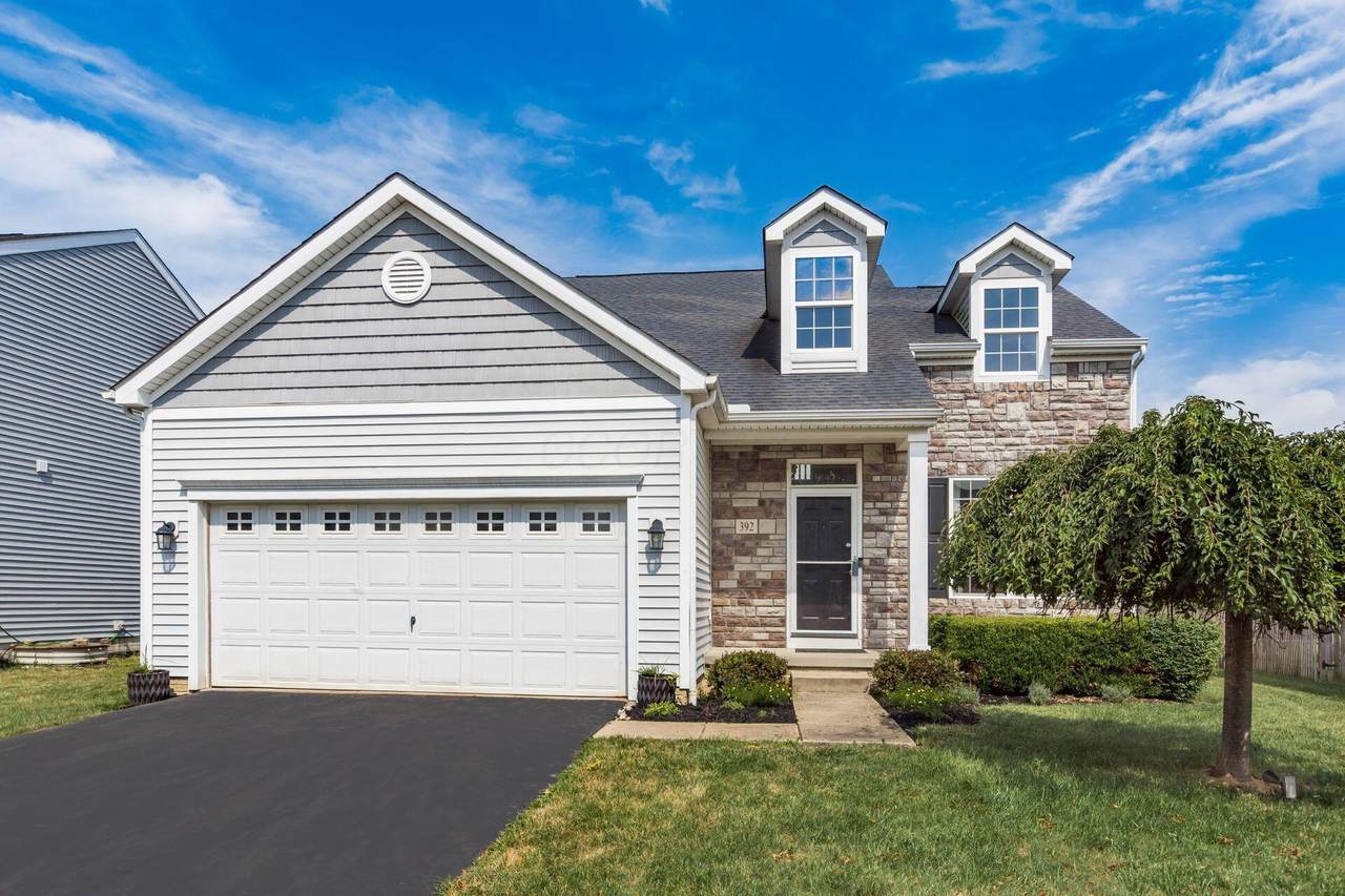392 Mogul Drive - Photo 1