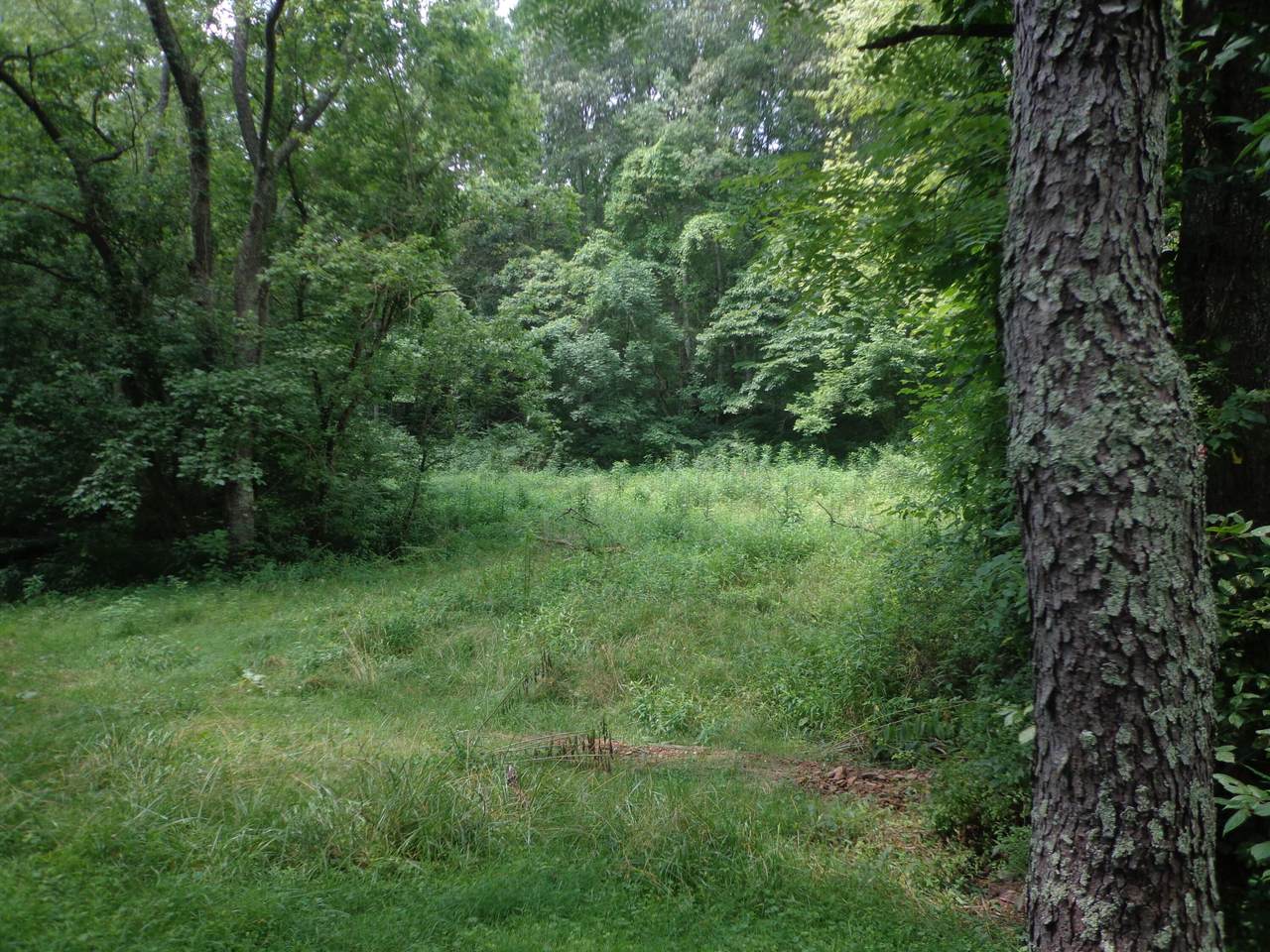 https://bt-photos.global.ssl.fastly.net/columbus/1280_boomver_2_225025980-2.jpg