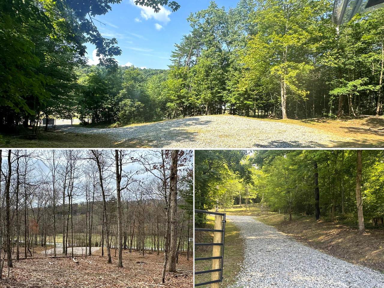 5305-(Tract 15 Skyli Clines Chapel Road - Photo 1