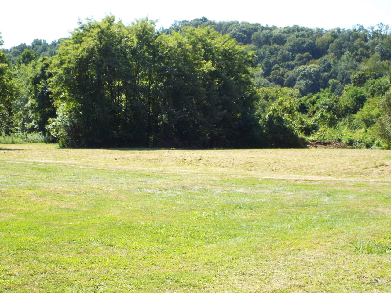 17687 Laurel Run Road - Photo 1