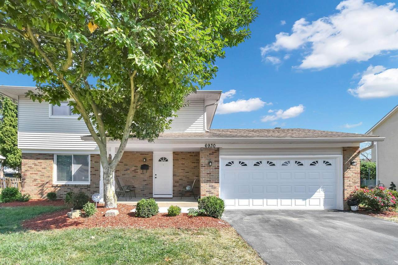 6930 Tanya Terrace - Photo 1