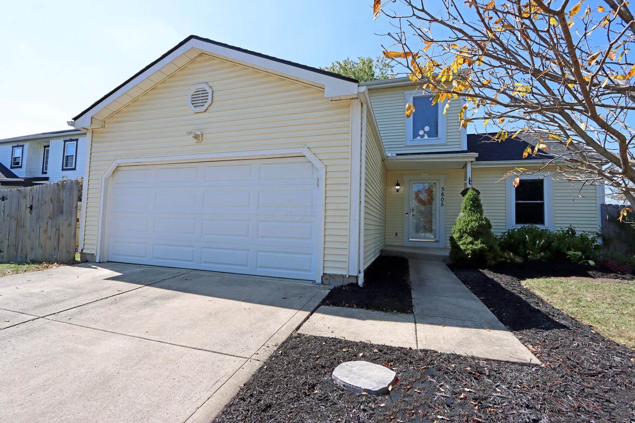 3805 Carlotta Street - Photo 1