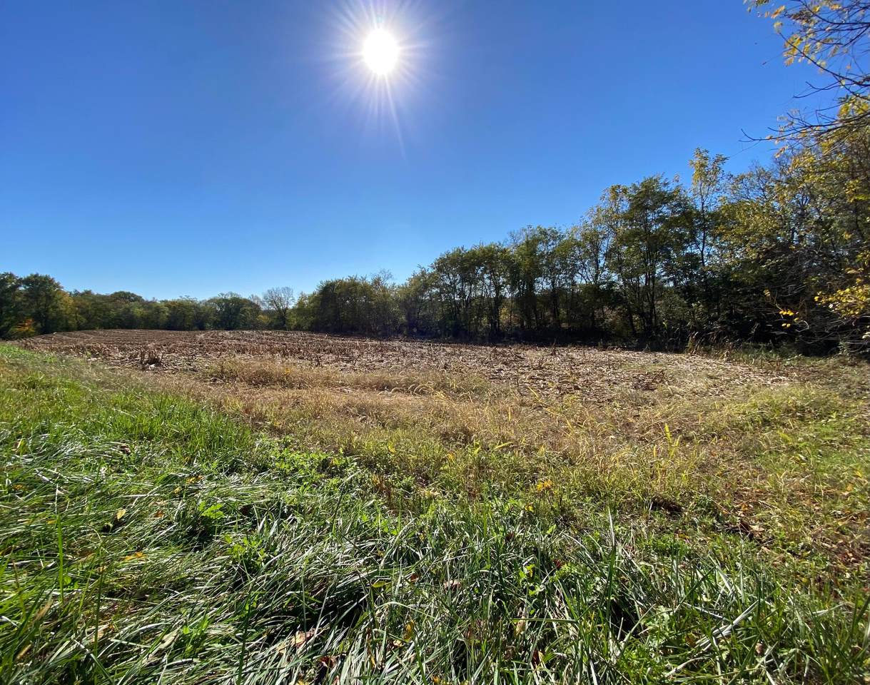 1764 Hallie Lane - Photo 1