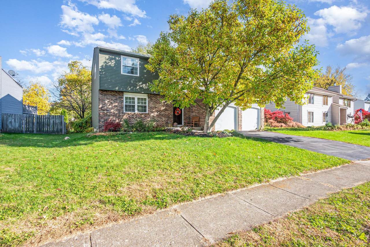 6482 Purplefinch Court - Photo 1