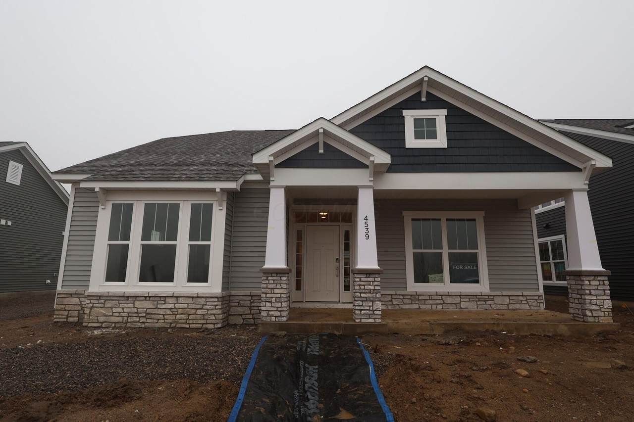 4539 Corsican Loop - Photo 1