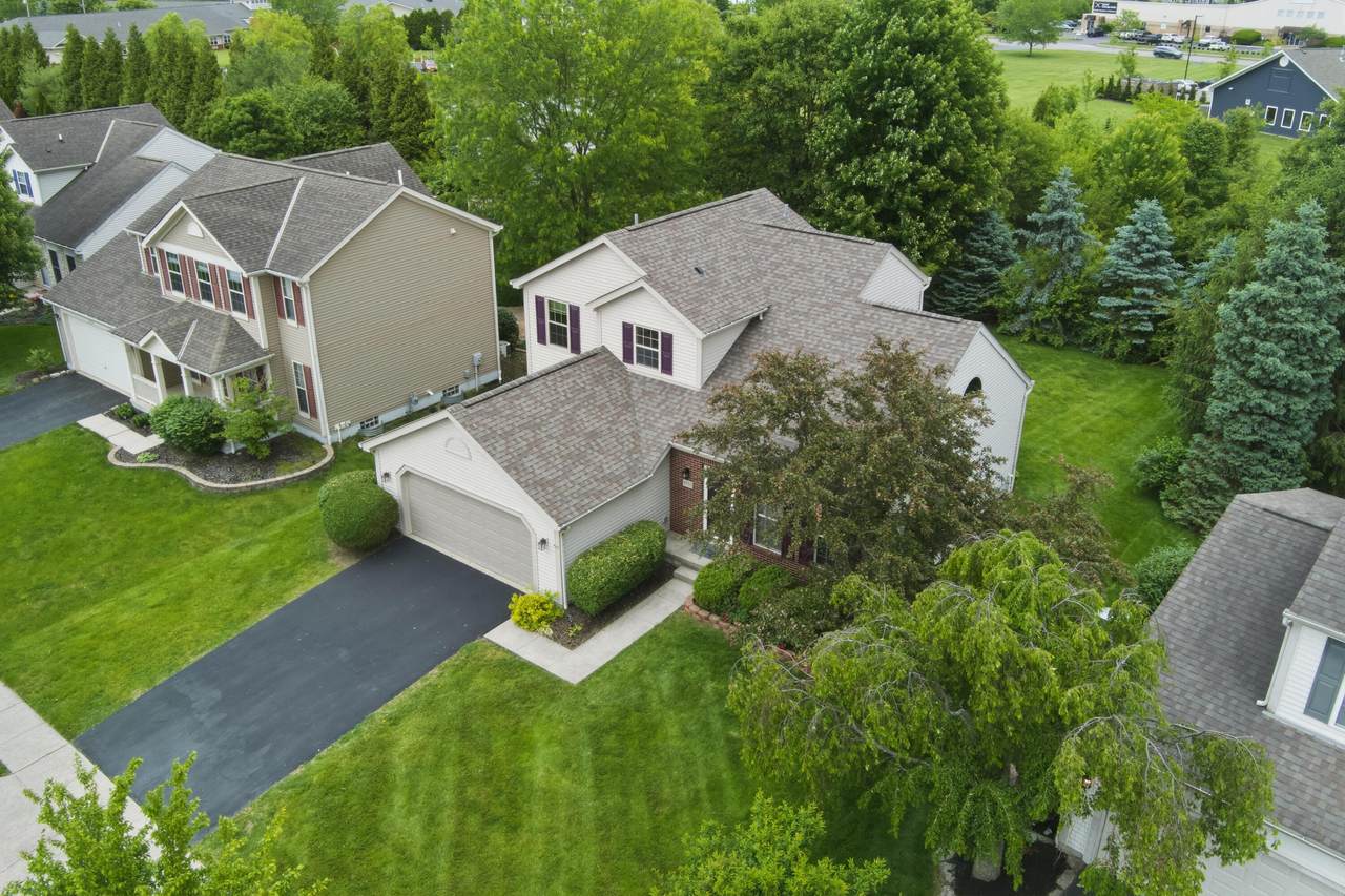 6558 Hemmingford Drive - Photo 1