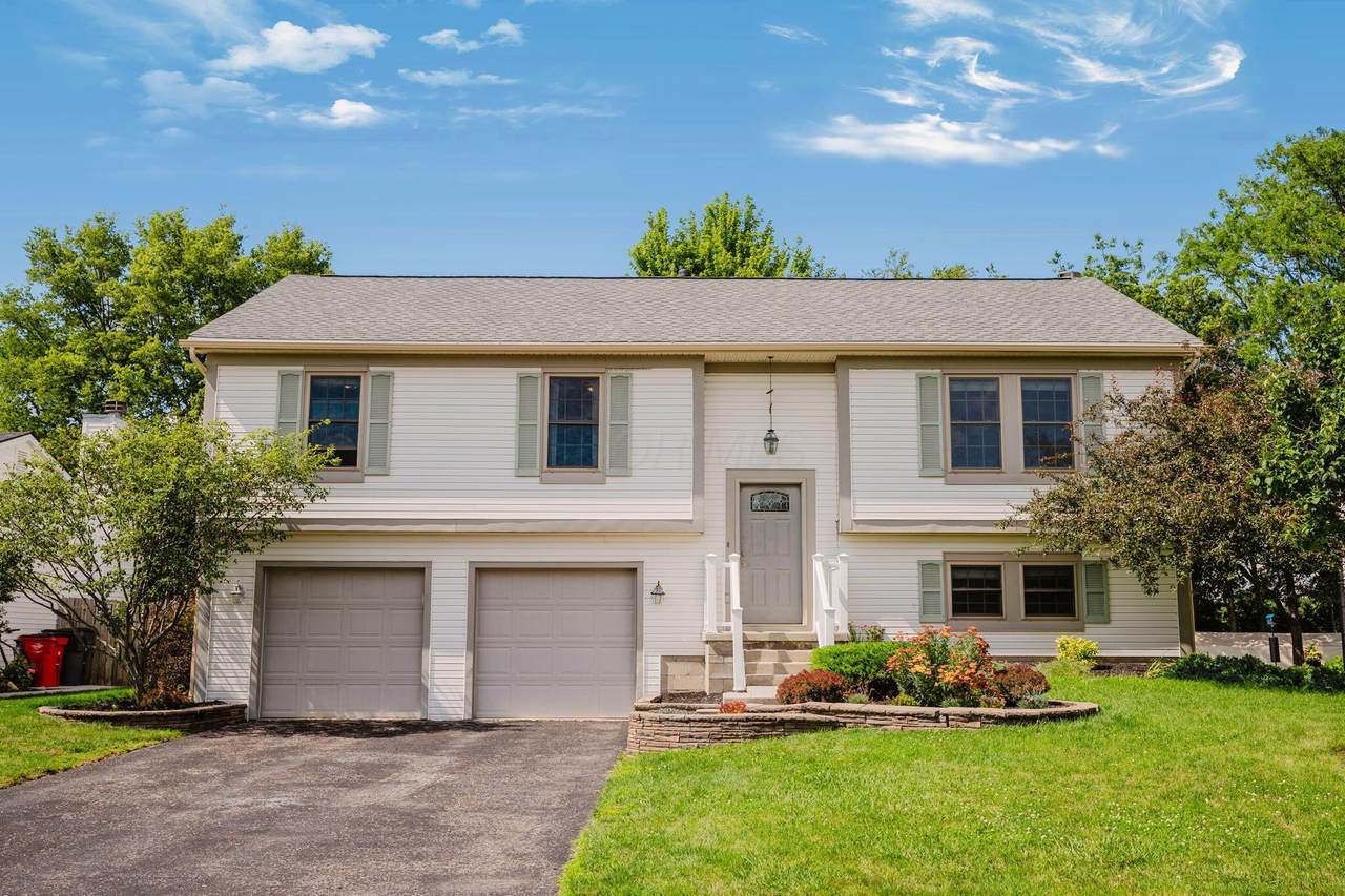 230 Buckboard Lane - Photo 1