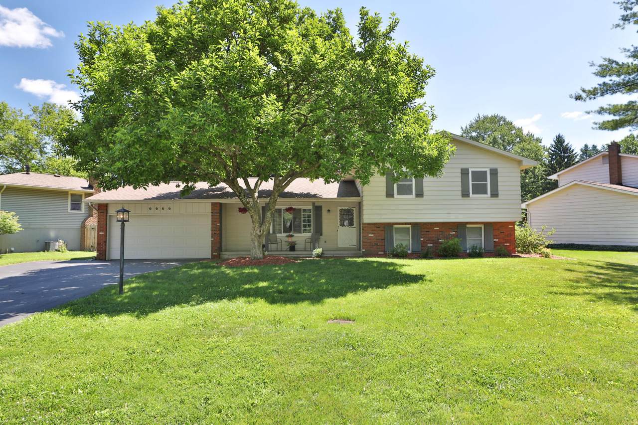 6666 Millbrae Road - Photo 1