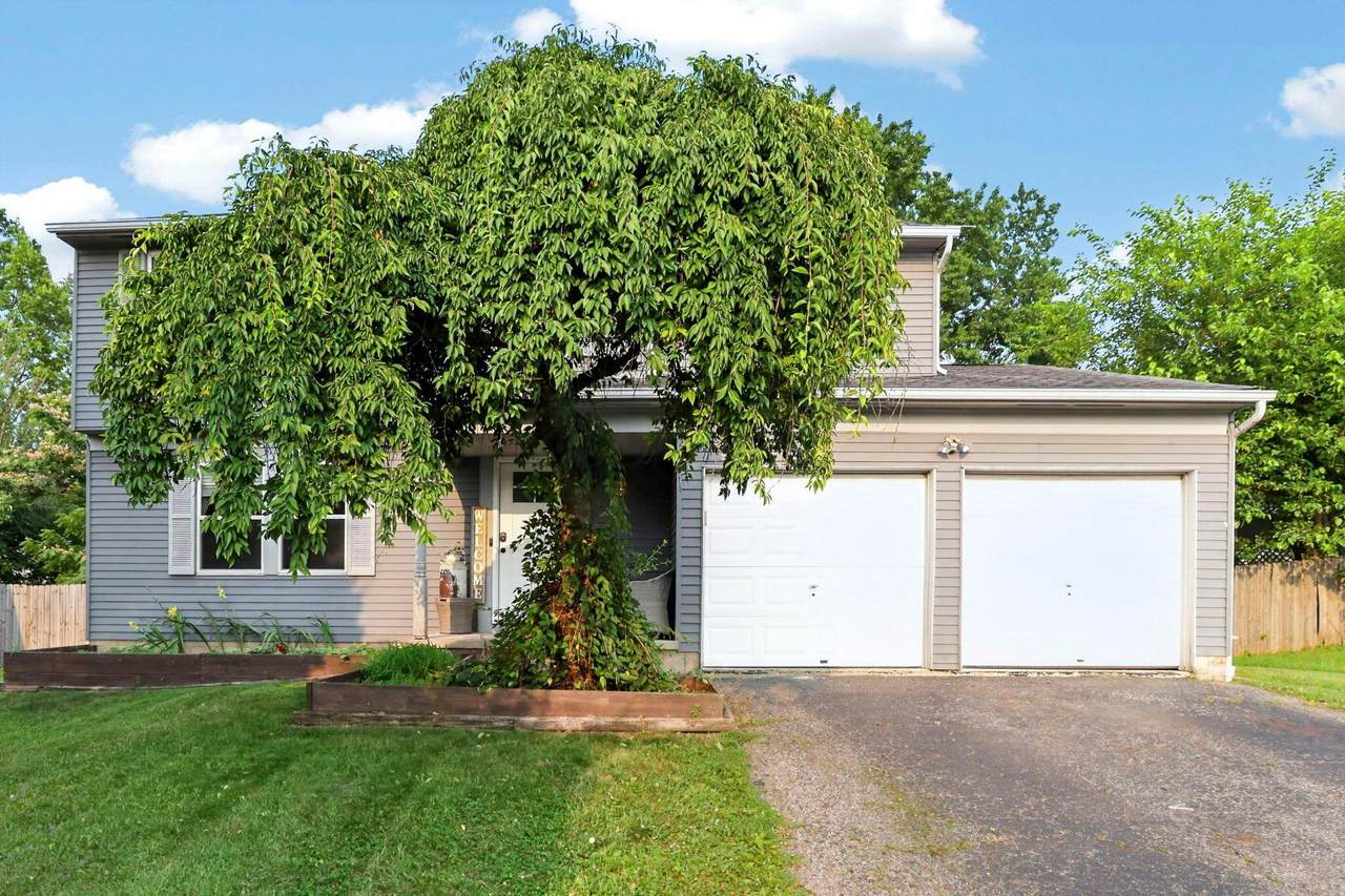 2592 Trailwind Street - Photo 1