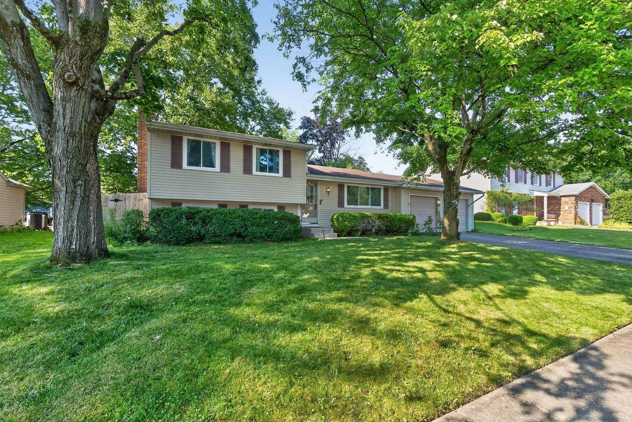 1173 Starbuck Court - Photo 1