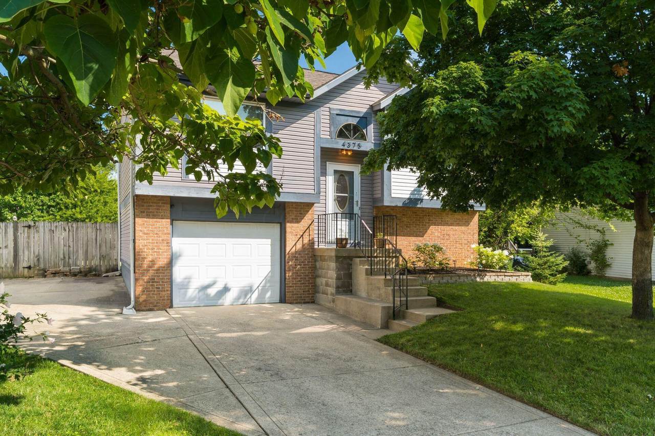 4375 Shirlene Drive - Photo 1