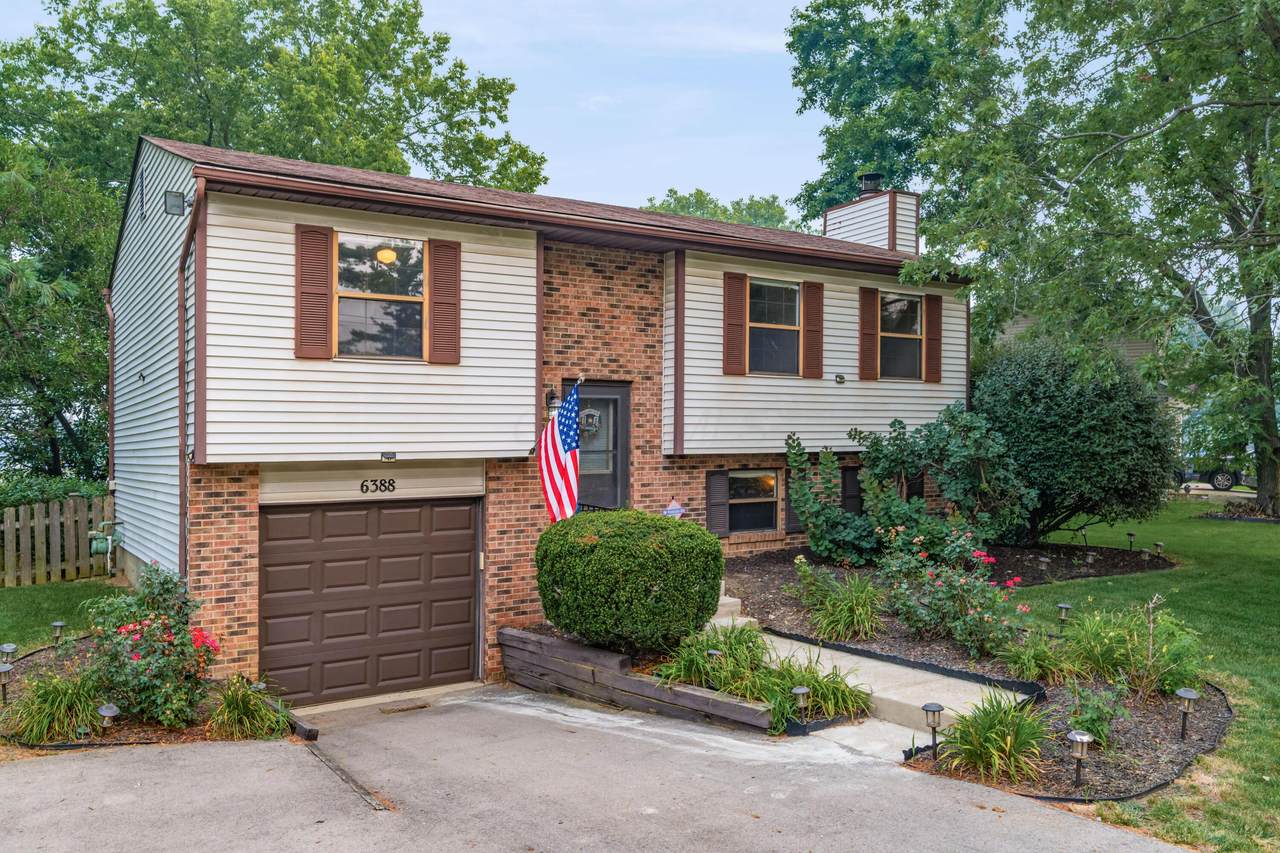 6388 Teapot Lane - Photo 1
