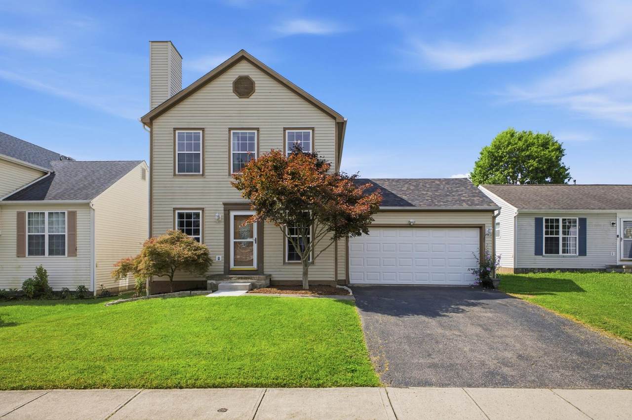 3523 Steiner Street - Photo 1