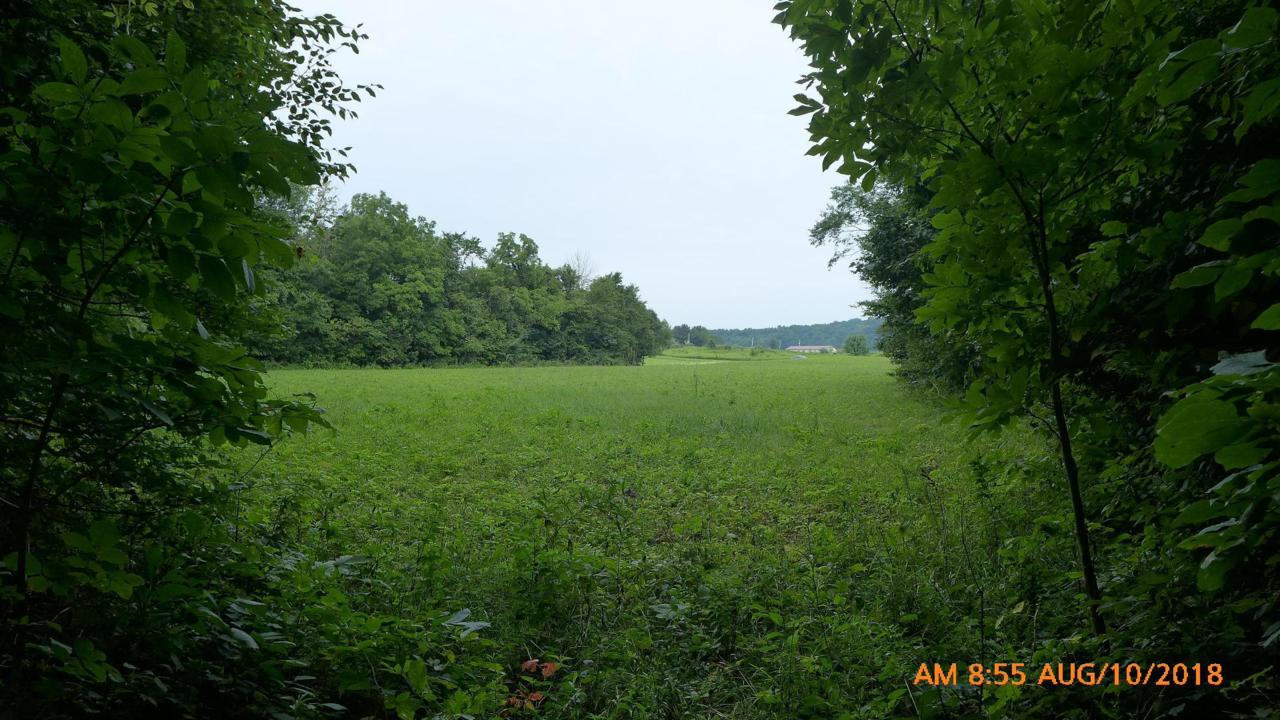 25174 Armstrong Road - Photo 1