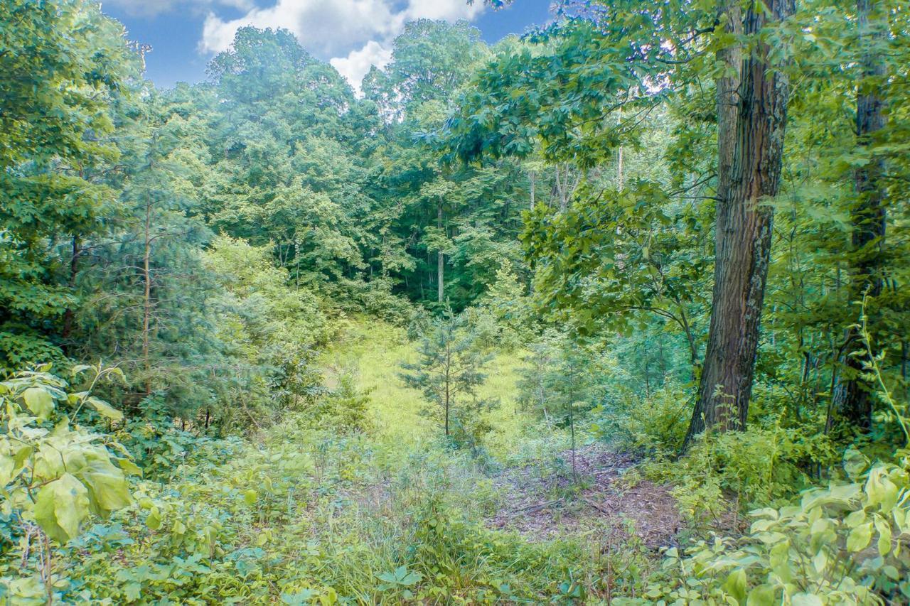 Lot C Knox Road - Photo 1