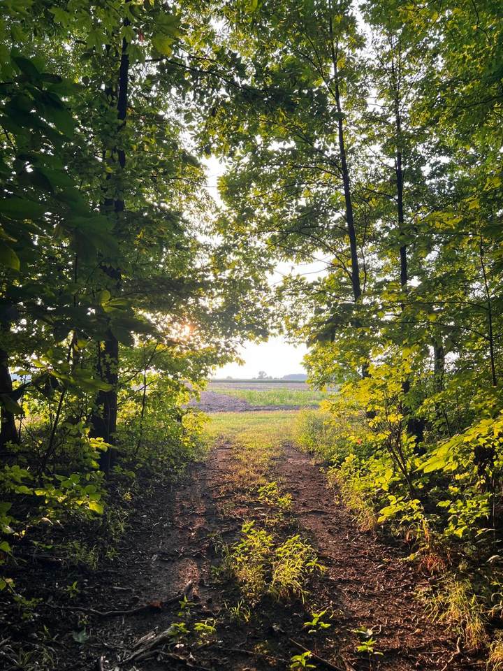 0 Norton Road - Photo 1