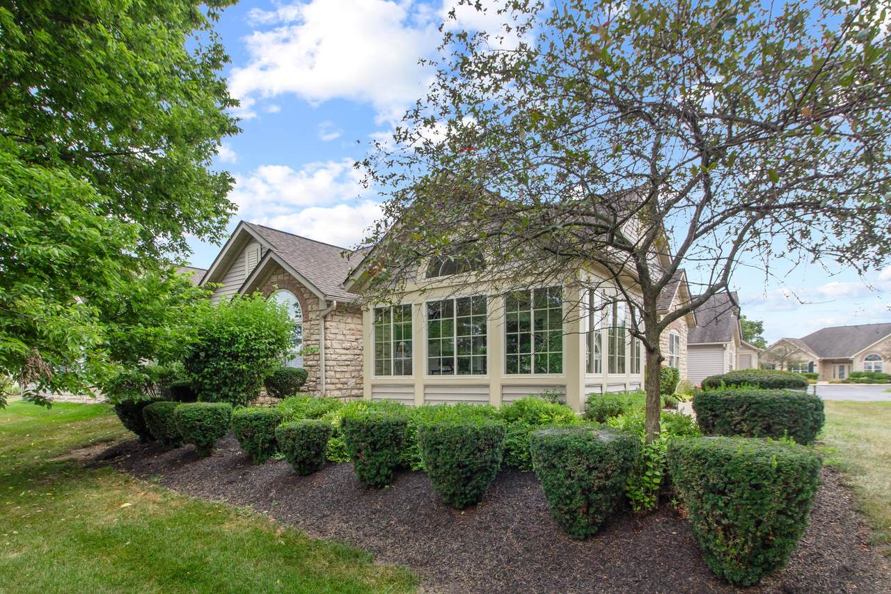 1266 Paddock Loop - Photo 1