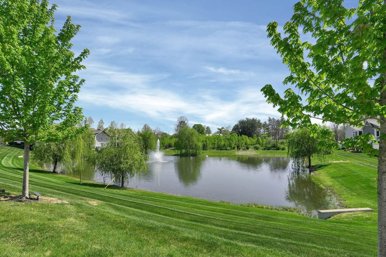 https://bt-photos.global.ssl.fastly.net/columbus/1280_boomver_3_226012269-2.jpg