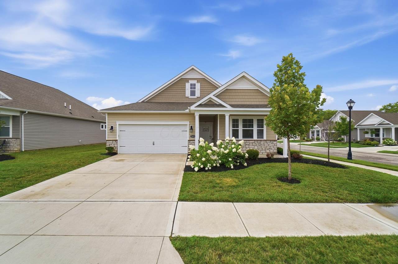 5851 Ryman Drive - Photo 1