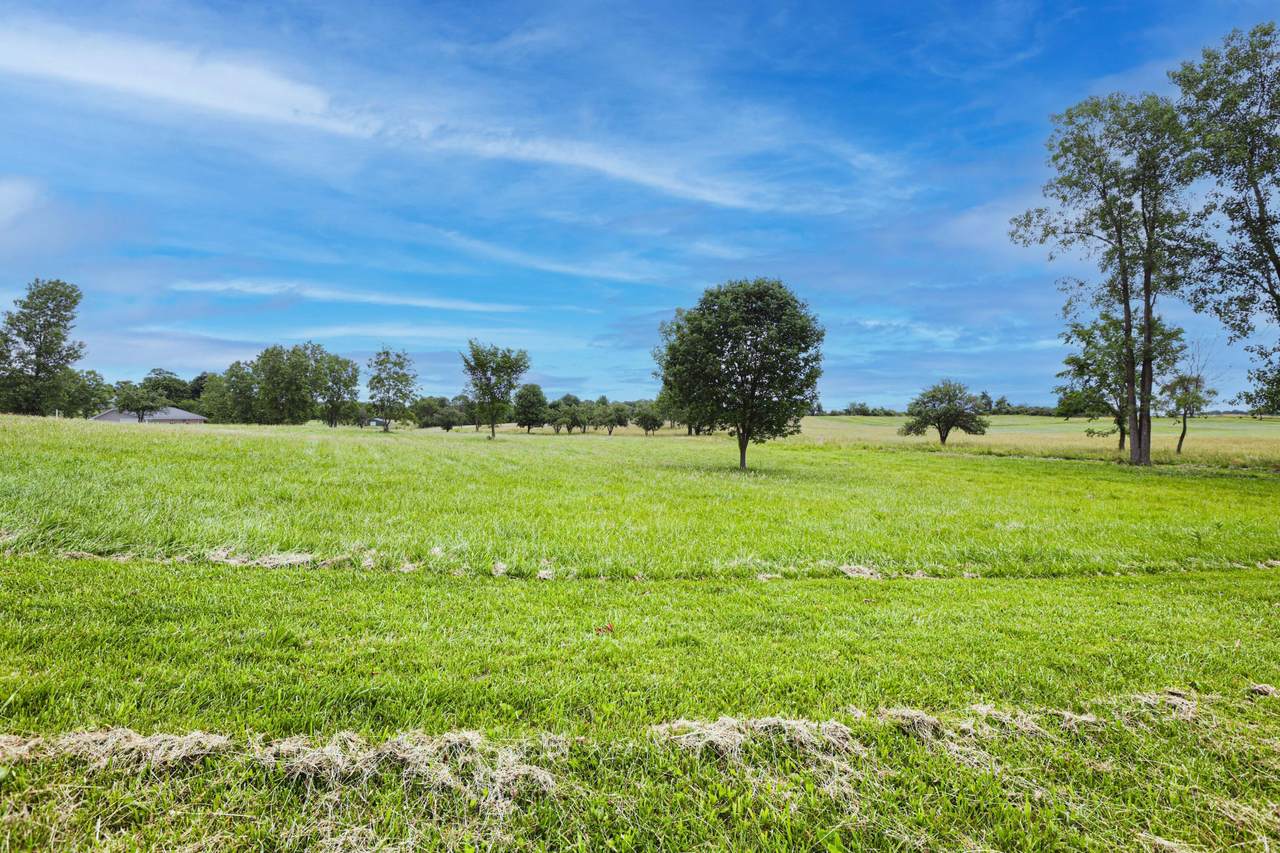 0-Lot 5 Possum Street - Photo 1