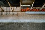 20000 Sycamore Road - Photo 13