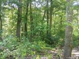 0 Moss Run Road - Photo 11