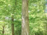 0 Moss Run Road - Photo 3