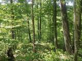 0 Moss Run Road - Photo 7