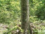 0 Moss Run Road - Photo 9