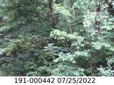 0 Minnesota Avenue - Photo 1