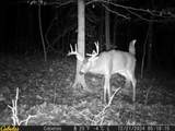 0 Fork Road - Photo 10