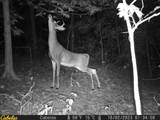 0 Fork Road - Photo 3