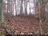 0 Fork Road - Photo 4