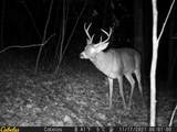 0 Fork Road - Photo 5