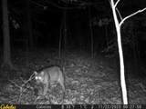 0 Fork Road - Photo 6