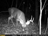 0 Fork Road - Photo 7