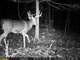 0 Fork Road - Photo 8