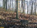 0 Fork Road - Photo 9